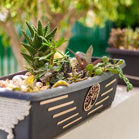 마스팔로마스 Cactus 아파트 외부 사진