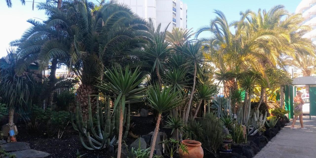 마스팔로마스 Cactus 아파트 외부 사진